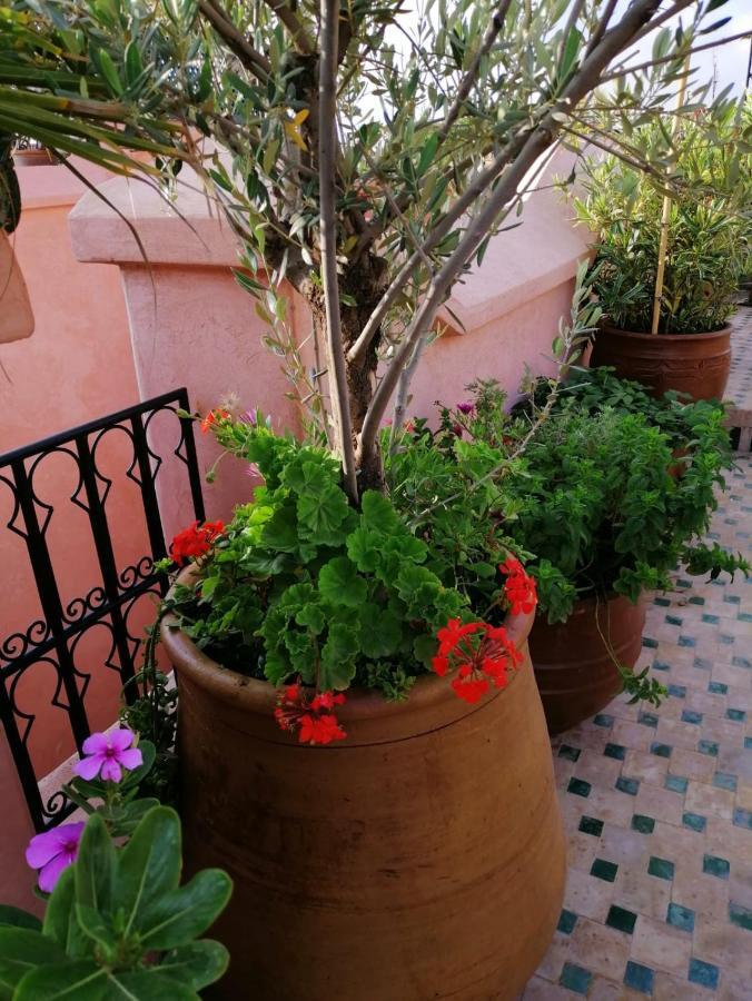 Riad Aventurine Marraquexe Exterior foto